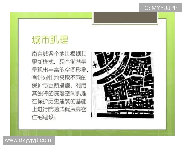 南京飞盘队个人能力分析与提升策略探讨